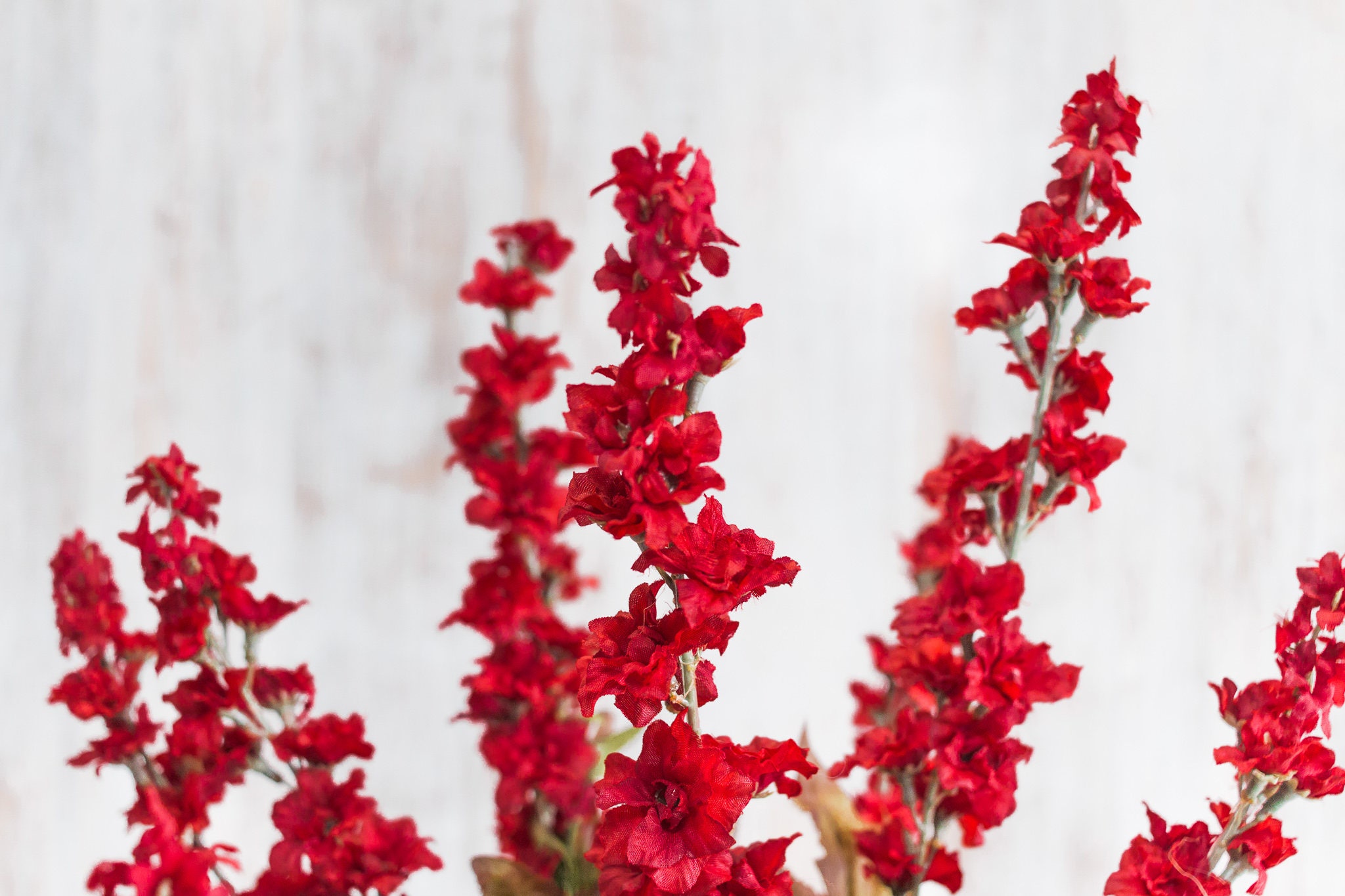 1/2/3/6/12 pcs 25.5 Red Larkspur Bush 7 Stems Etsy