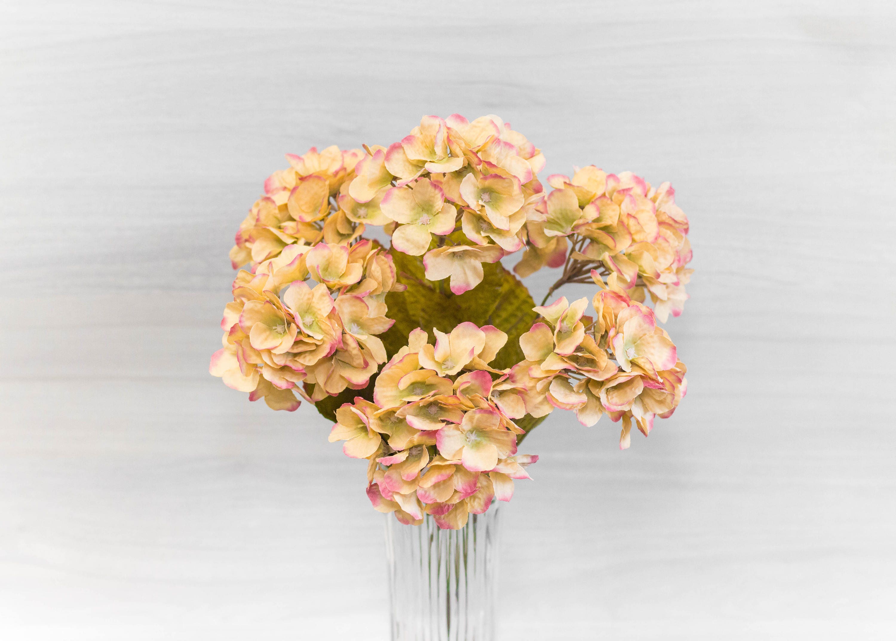 2 3 6 12 Pcs 17 Rustic Beige Pink Hydrangea Bush 7 Etsy