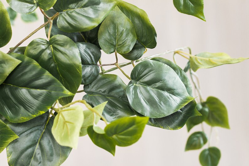 1236 pcs 35 Large Philo Green Ivy Bush Artificial Florals Gardening Supplies Faux Wedding Centerpieces 7 base stems Indoor Greenery