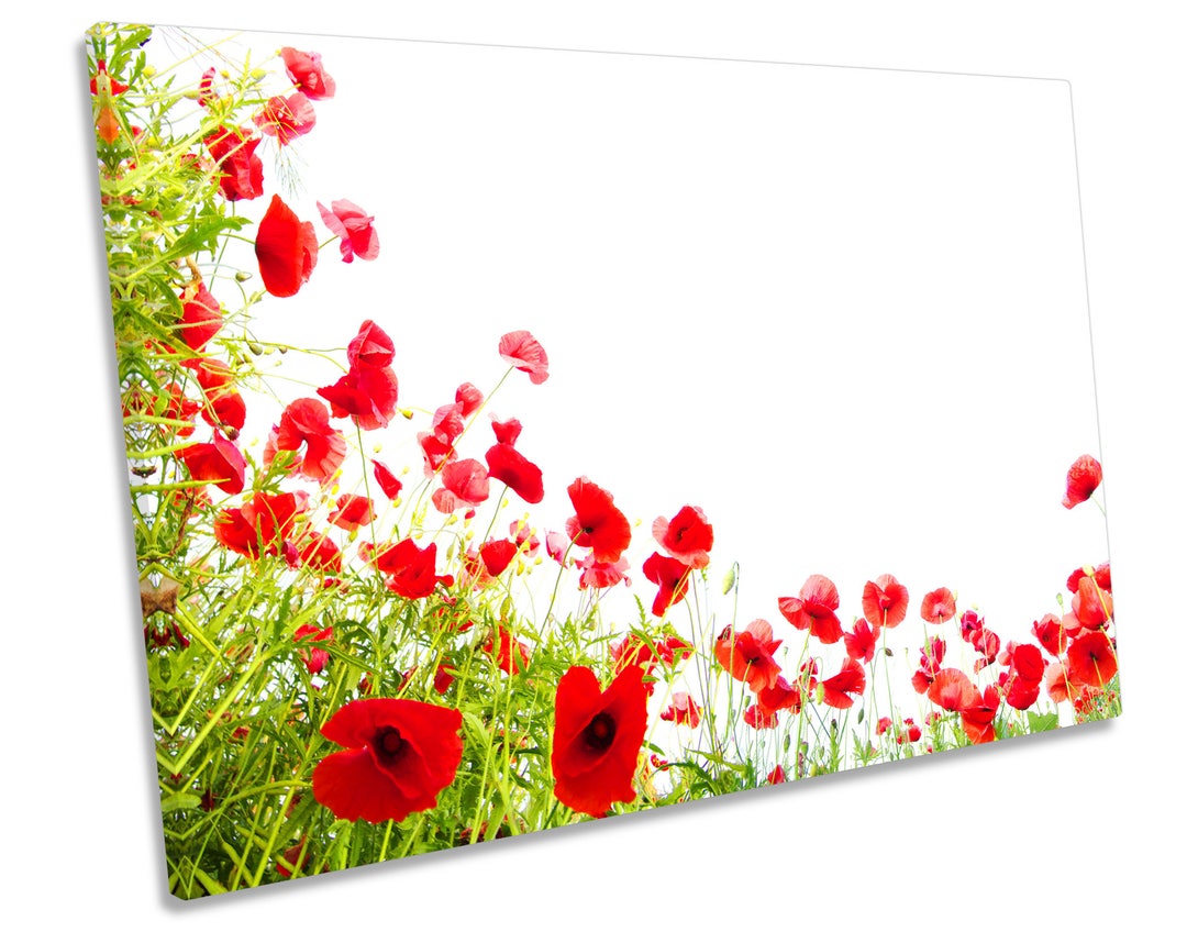 Poppies Flowers Floral Poppy Red CANVAS WALL ART Box Framed Etsy