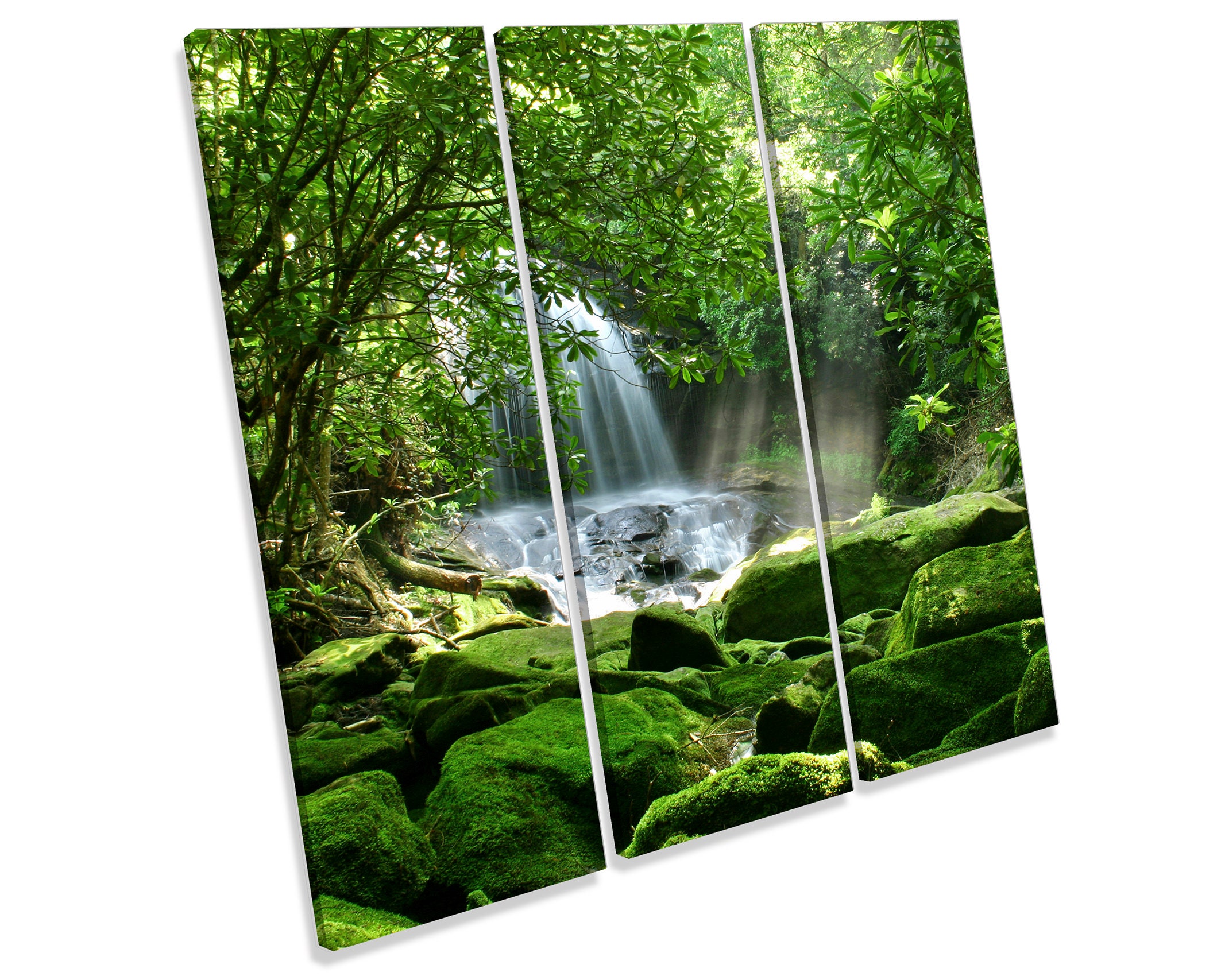 Rain Forest Waterfall Sunrise Green Treble CANVAS WALL ART | Etsy