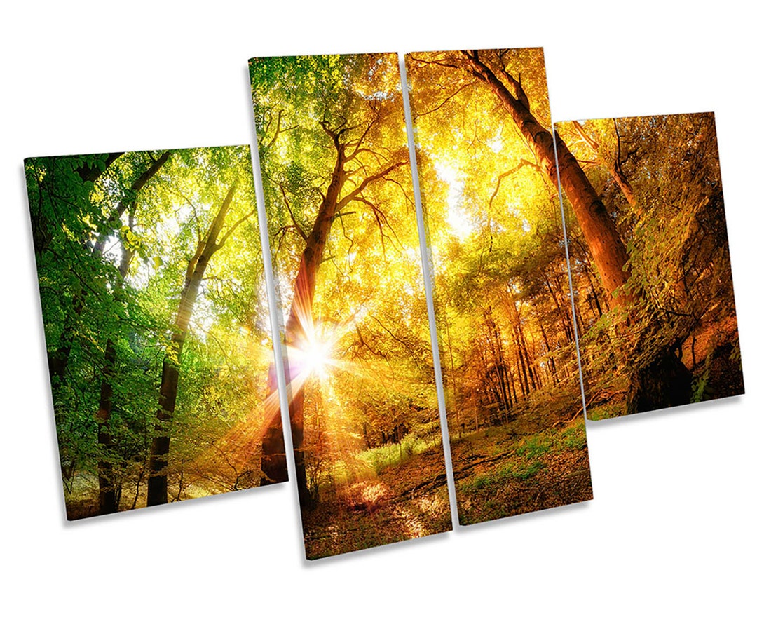 Forest Sunset Landscape Picture CANVAS WALL ART Four Panel - Etsy