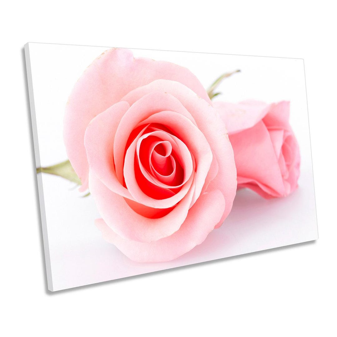 Pair Pink Floral Flower Rose CANVAS WALL ART Picture Print - Etsy