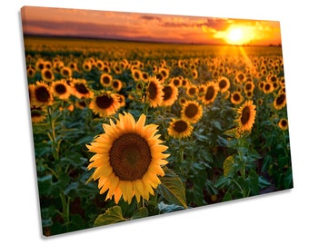 Sunflower Sunset Floral CANVAS WALL ART Framed Print