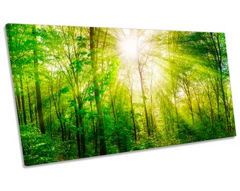 Sunlight Green Forest Trees Picture Panoramic CANVAS WALL ART Print