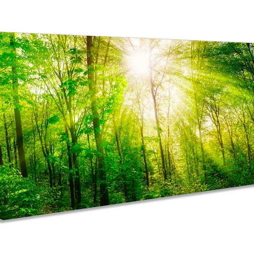 Green Countryside Forest Print CANVAS WALL ART Panoramic - Etsy UK