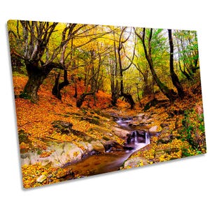 Autumn Forest Woodland CANVAS WALL ART Picture Print