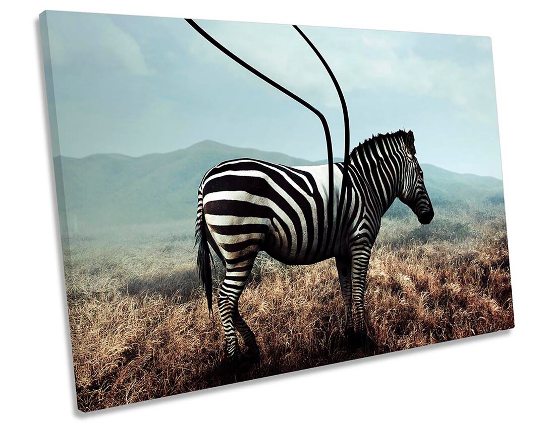 Surreal Zebra Stripes CANVAS WALL ART Picture Print Etsy UK