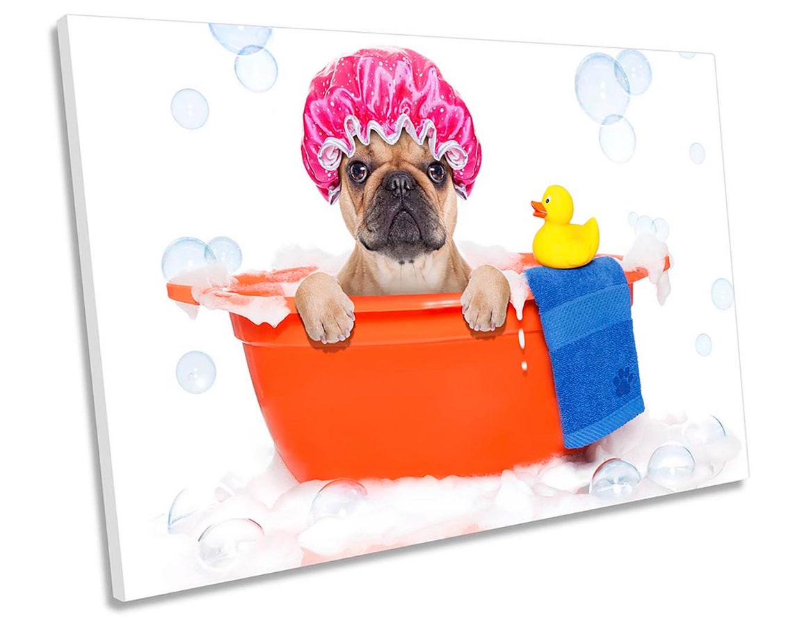 Funny French Bulldog Bathroom CANVAS WALL ART Picture Print Etsy