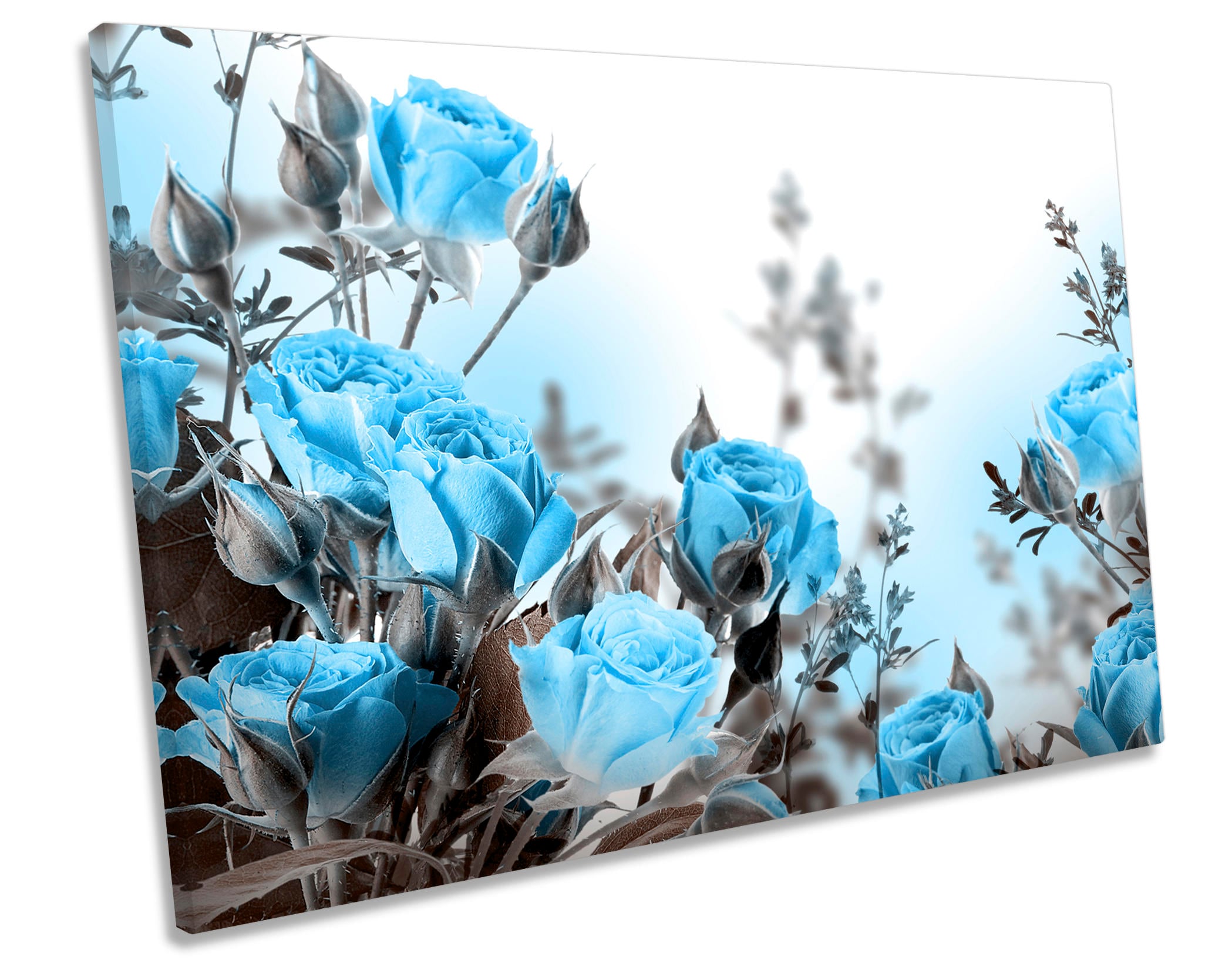 Blue Roses Flowers Floral CANVAS WALL ART Box Framed Print | Etsy