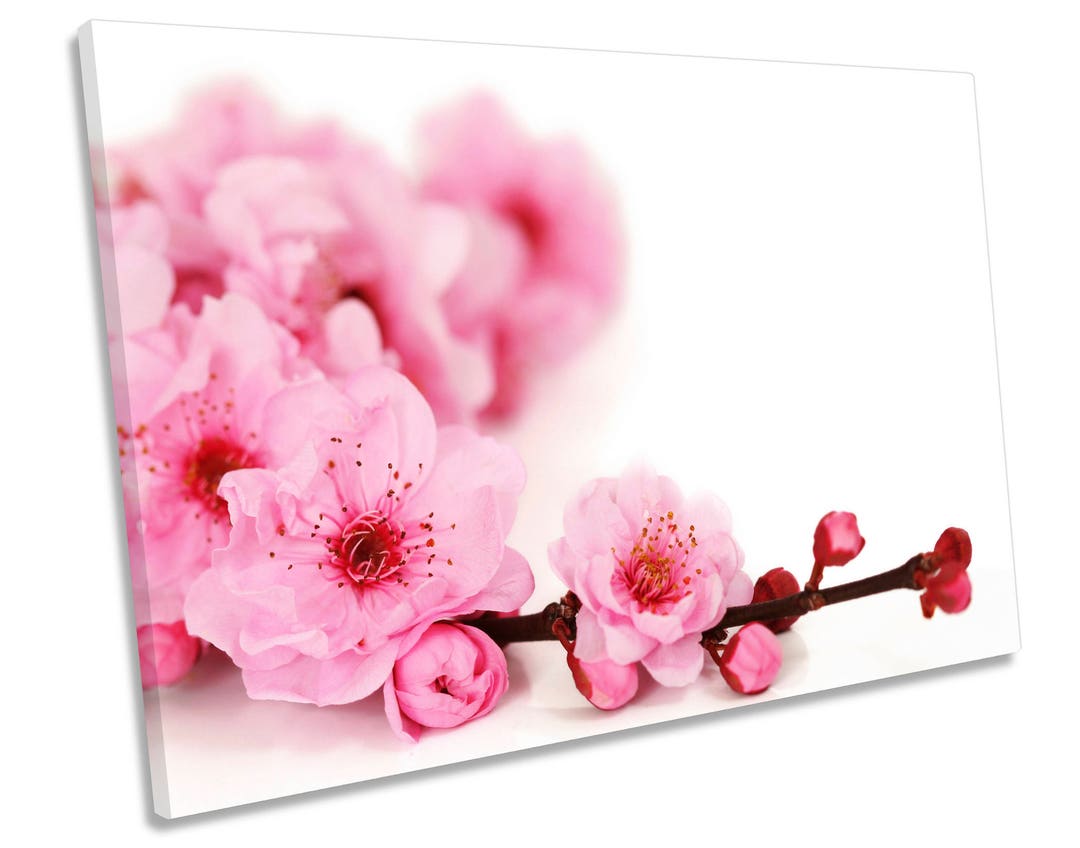 Spring Cherry Flowers Floral Pink CANVAS WALL ART Box Framed Etsy