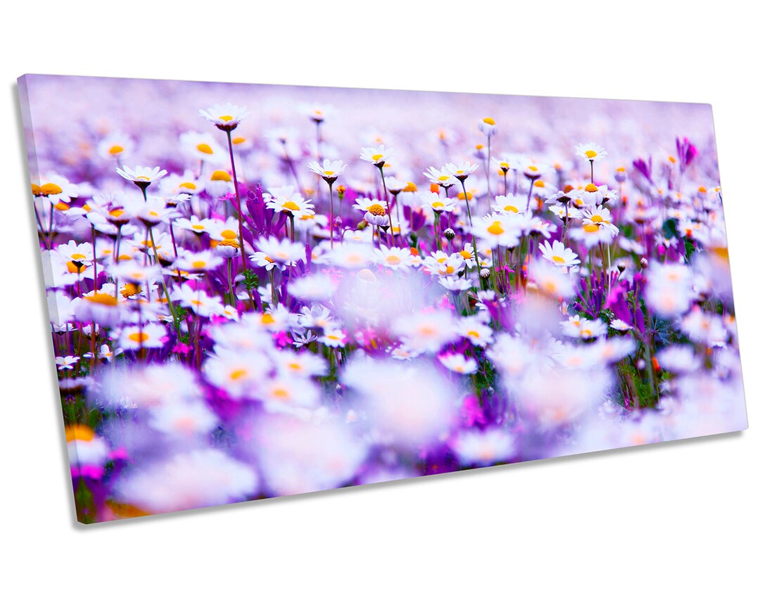 Daisy Floral Flower Field Picture Panoramic CANVAS WALL ART - Etsy