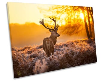 Stag Deer Sunset Forest CANVAS WALL ART Box Framed Picture Print