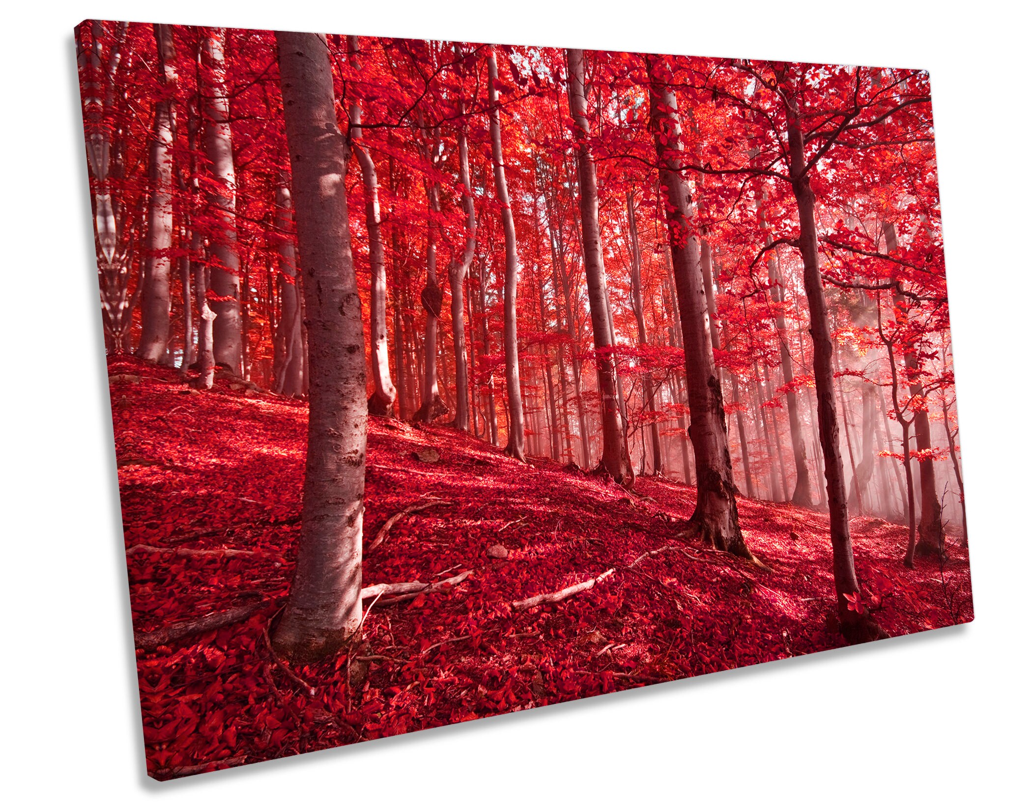 Póster en marco roble claro Arttor 61x91 cm - Rojo como el que más -  Paisaje, Bosque, Árboles, Naturaleza, Hojas Rojas, Para el salón, Para el