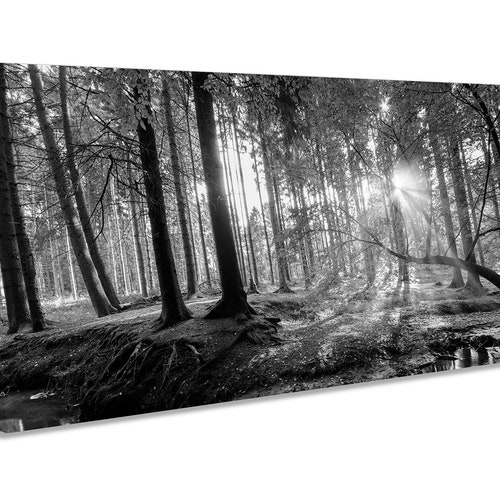 Black White Forest Canvas Wall Art Tree Print Minimalist Art Etsy