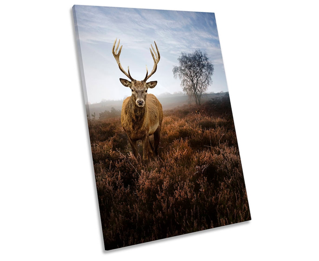 Misty Forest Deer Stag Wildlife Framed CANVAS WALL ART Print - Etsy
