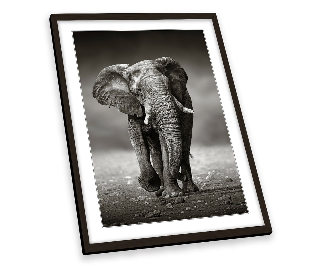 Elephant Wildlife Black & White FRAMED ART PRINT Picture Portrait