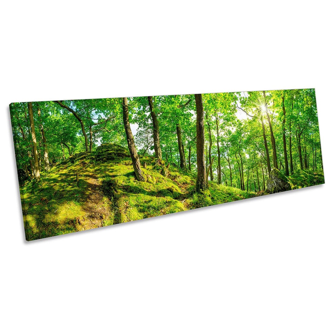 Green Forest Sunshine Landscape CANVAS WALL ART Panoramic Framed Print ...