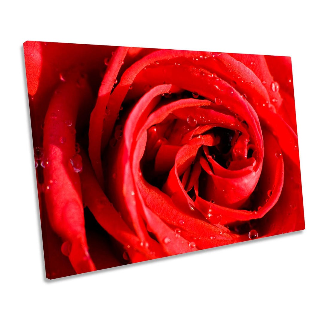 Red Rose Flower Floral CANVAS WALL ART Framed Print Picture - Etsy