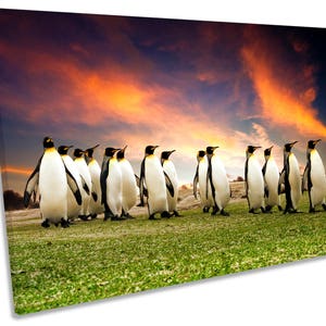 Penguins March Sunset CANVAS WALL ART Print Picture Box Framed image 1