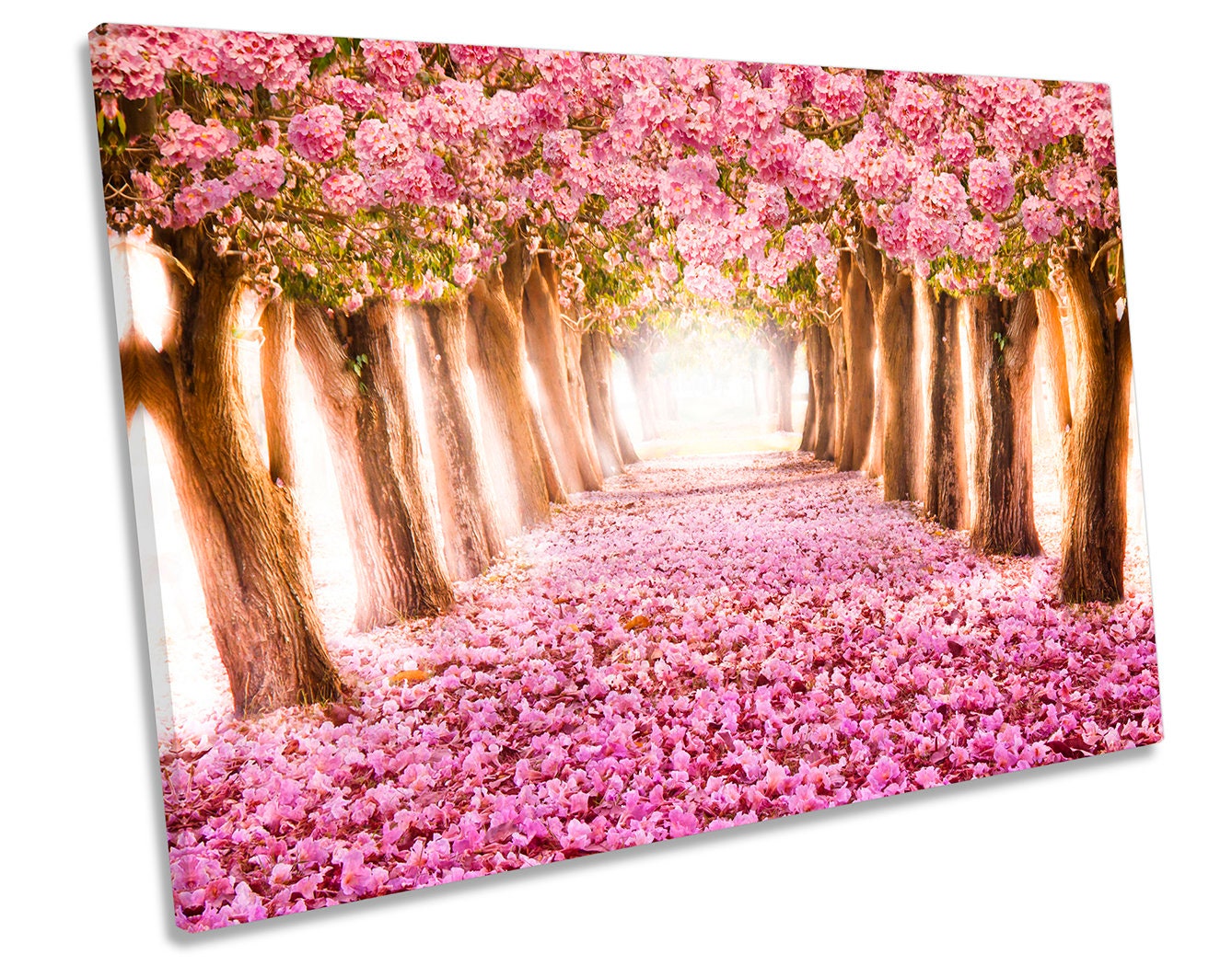 Pink Romantic Blossom Floral Tunnel CANVAS WALL ART Box Framed Etsy