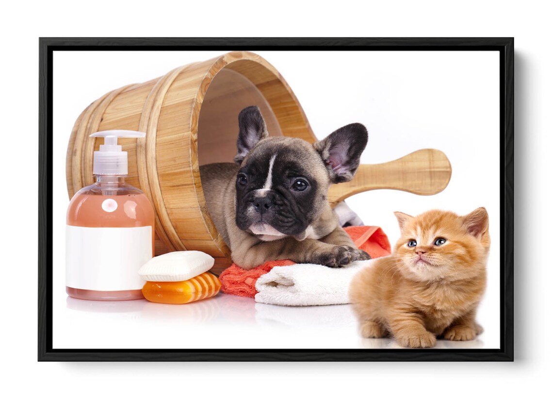 French Bulldog Bathroom White CANVAS FLOATER FRAME Wall Art Etsy