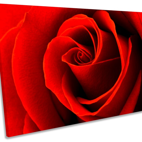 Pétales de fleurs roses rouges Image CANVAS WALL ART Print
