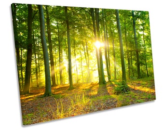 Sunlight Forest Trees Sunset Boxed Framed CANVAS WALL ART Picture Print