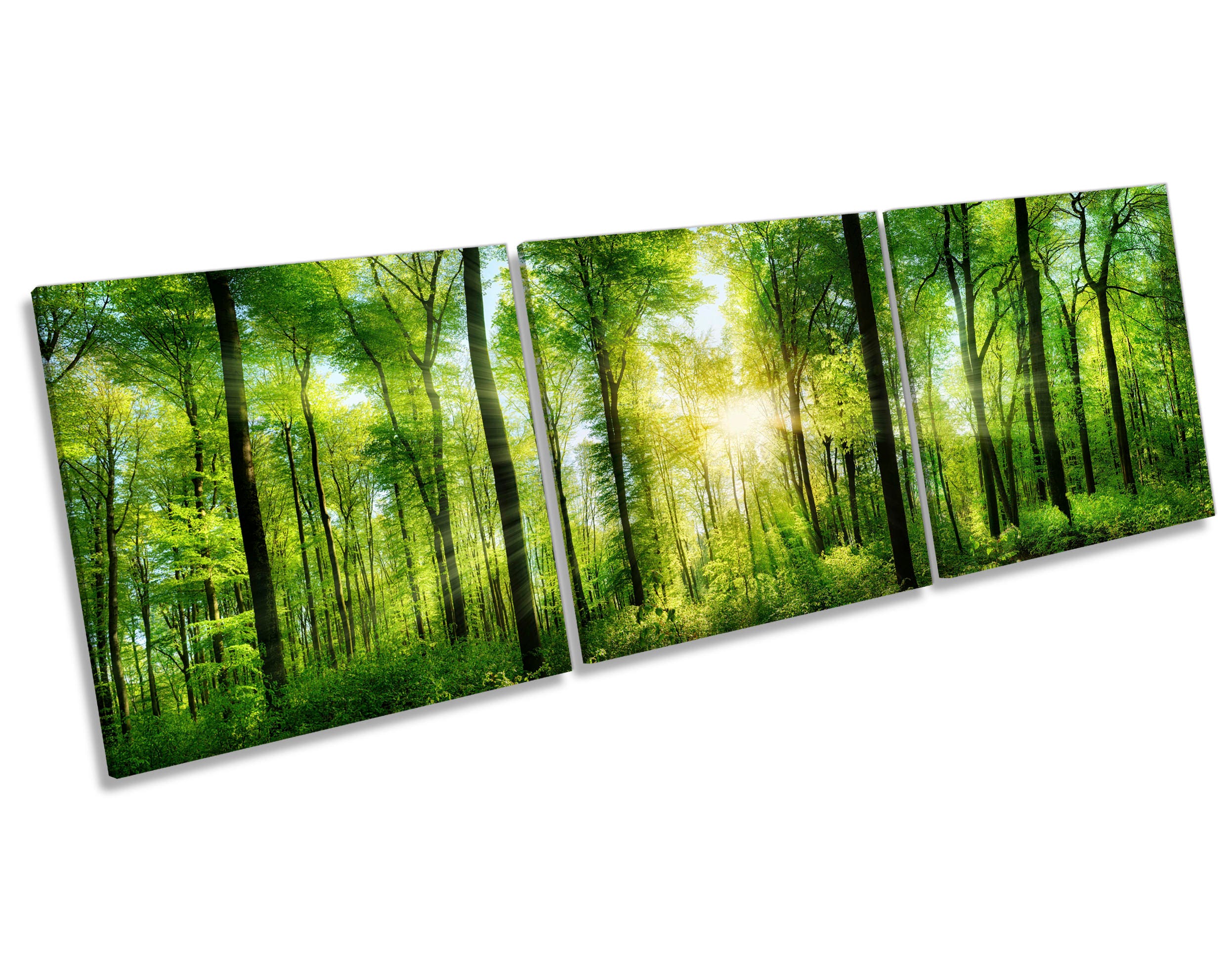 Green Forest Trees Sunset CANVAS WALL ART Three Panel Box | Etsy