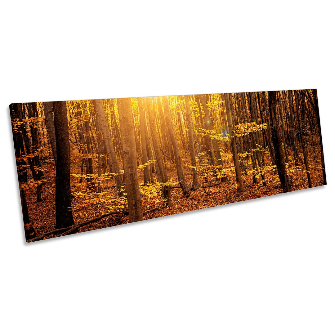 Autumn Forest Sunset Trees CANVAS WALL ART Pano Framed Print - Etsy