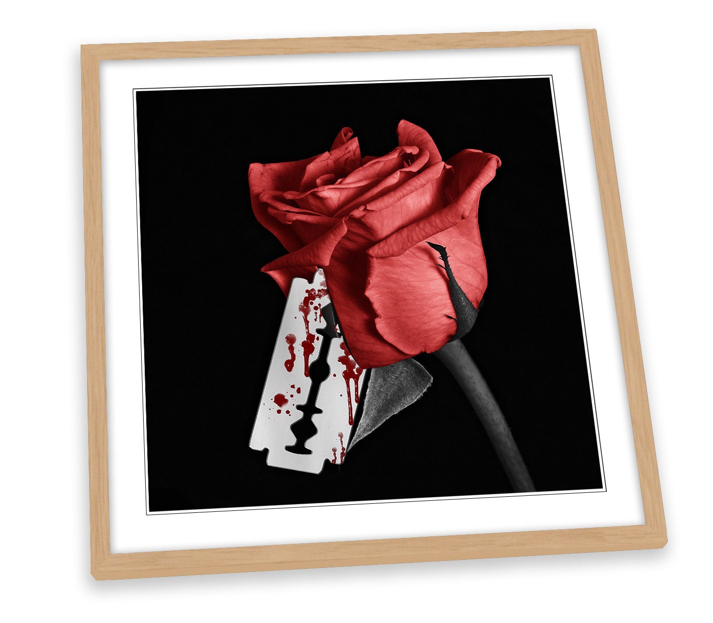 Red Rose Razor Blade Floral FRAMED ART PRINT Picture Square