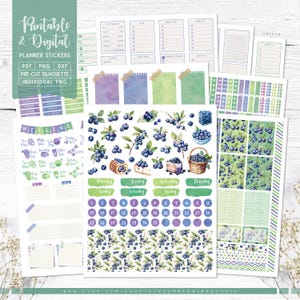 Blueberry afdrukbare en digitale plannerstickers, weekpakket, afdrukbare pdf, Cricut png, individuele png, dagboekstickers, Goodnotes