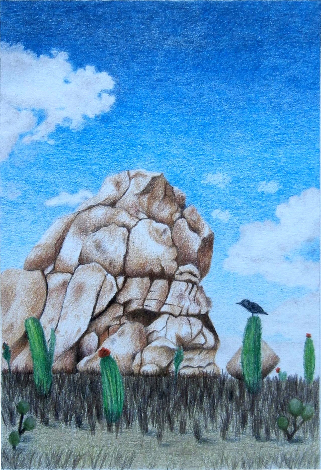 Pencil Desert Landscape Drawing - docemoreena