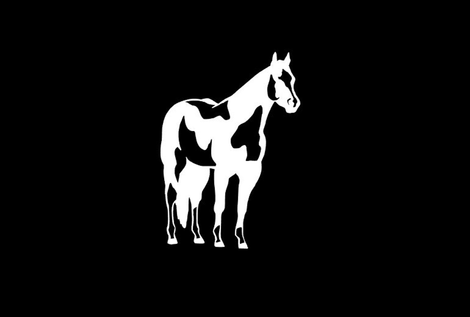 Paint Horse Decal Spotted Horse Decal Horse Decal Etsy