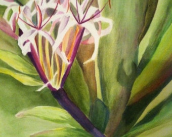 Tropical Watercolor Flower