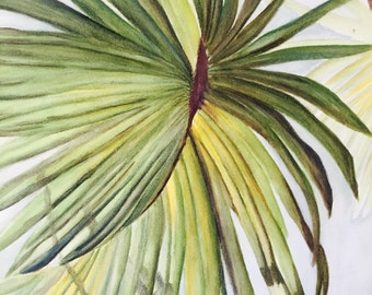 Key West palm