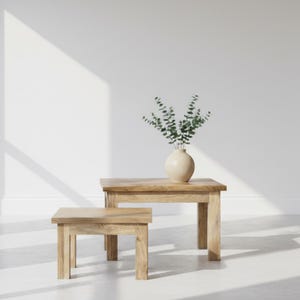 Solid Mango Wood Nesting Foot Stools: Low Side Tables