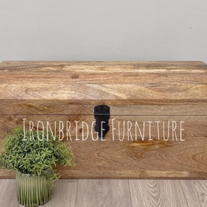 May include: A large, wooden storage chest with a curved top and a black metal clasp. The chest is made of light-colored wood with visible grain and the text "IRONBRIDGE FURNITURE" is printed on the front. A small green plant in a green pot sits in front of the chest.