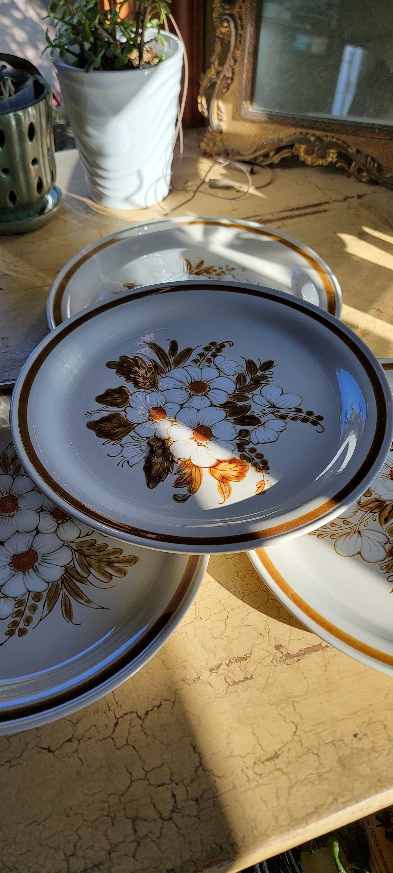 OLD MEAL DISH リムロゴ オールドマウンテン 2枚セット