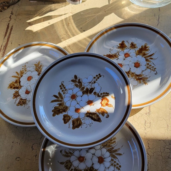 Mountain Wood Collection; Stoneware Dried Flowersl Dinnerware; Oven to Table; Microwave and Dishwasher Dafe; Japan; 1970's; Set of 4