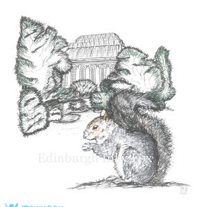 Amateur-Eichhörnchen Mädchen niedliches Mädchen, das von einem dicken Schwanz gefickt wird