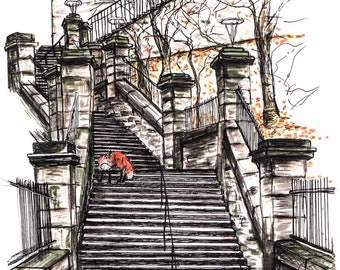 News Steps, Edinburgh, News Steps Edinburgh, Edinburgh architecture, Fox, foxes, urban foxes, wallart, artptint, print, ink drawing