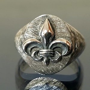 Fleur De Lis-ring, ovale gotische sterlingzilveren ring, ridderring middeleeuwen, middeleeuwse ring, vadercadeau, ridderring, ring vriendje.