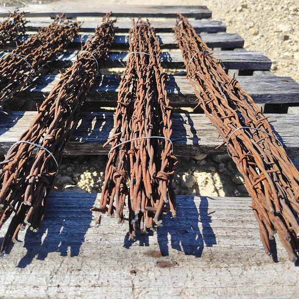 Rusty Barbed Wire 2ft 20 strands in bundle