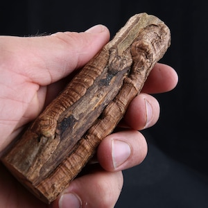 Sjamanistische talisman van hulsthout, heilige heidense rituele stok