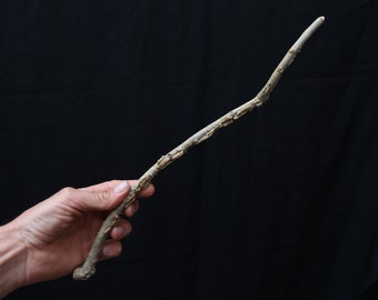 Elm wood magic wand