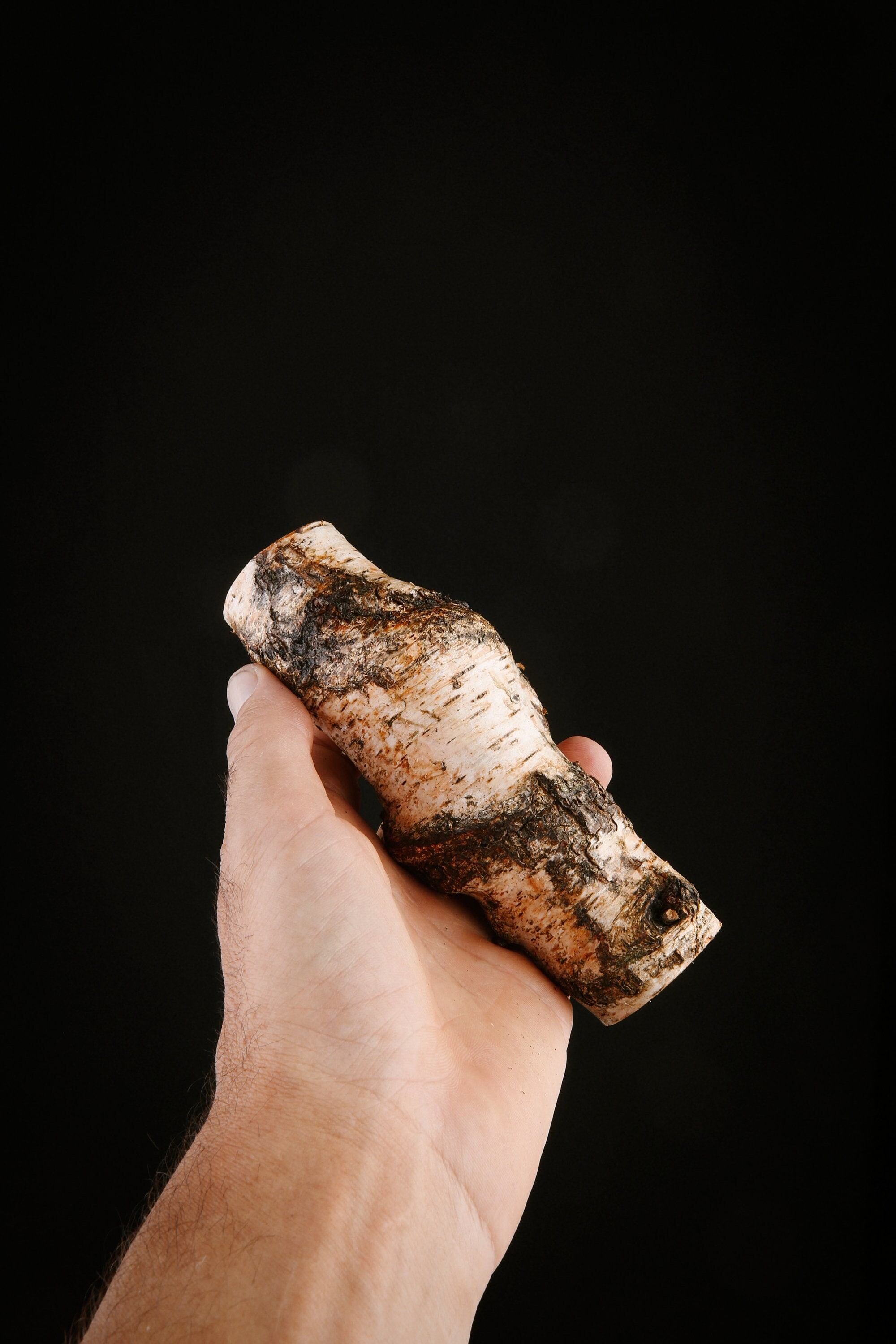 Talisman Chamanique en Bois de Bouleau, Bâton Rituel Sacré Païen