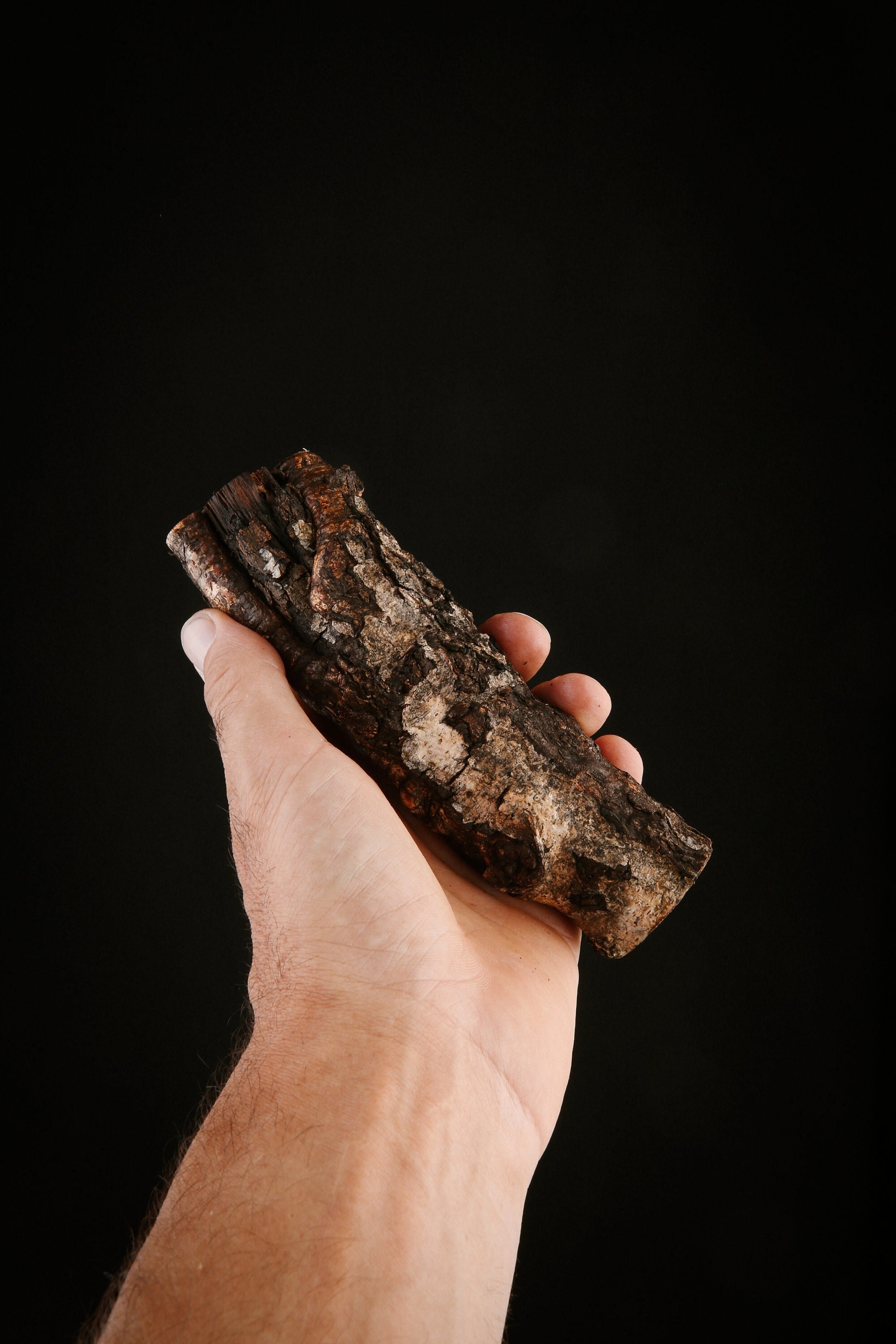 Talisman Chamanique en Bois de Bouleau, Bâton Rituel Sacré Païen