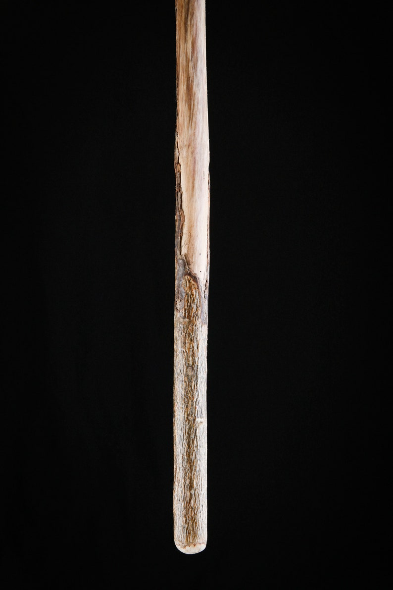 Magic wand in holly wood