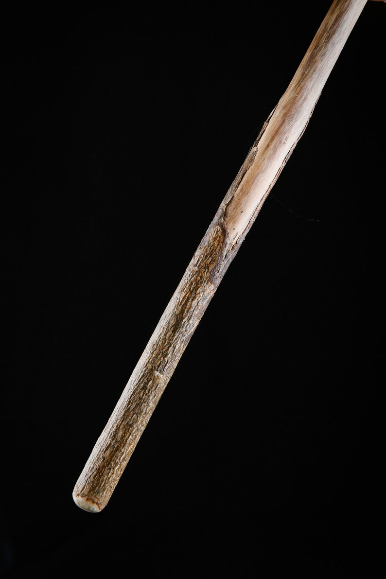 Magic wand in holly wood